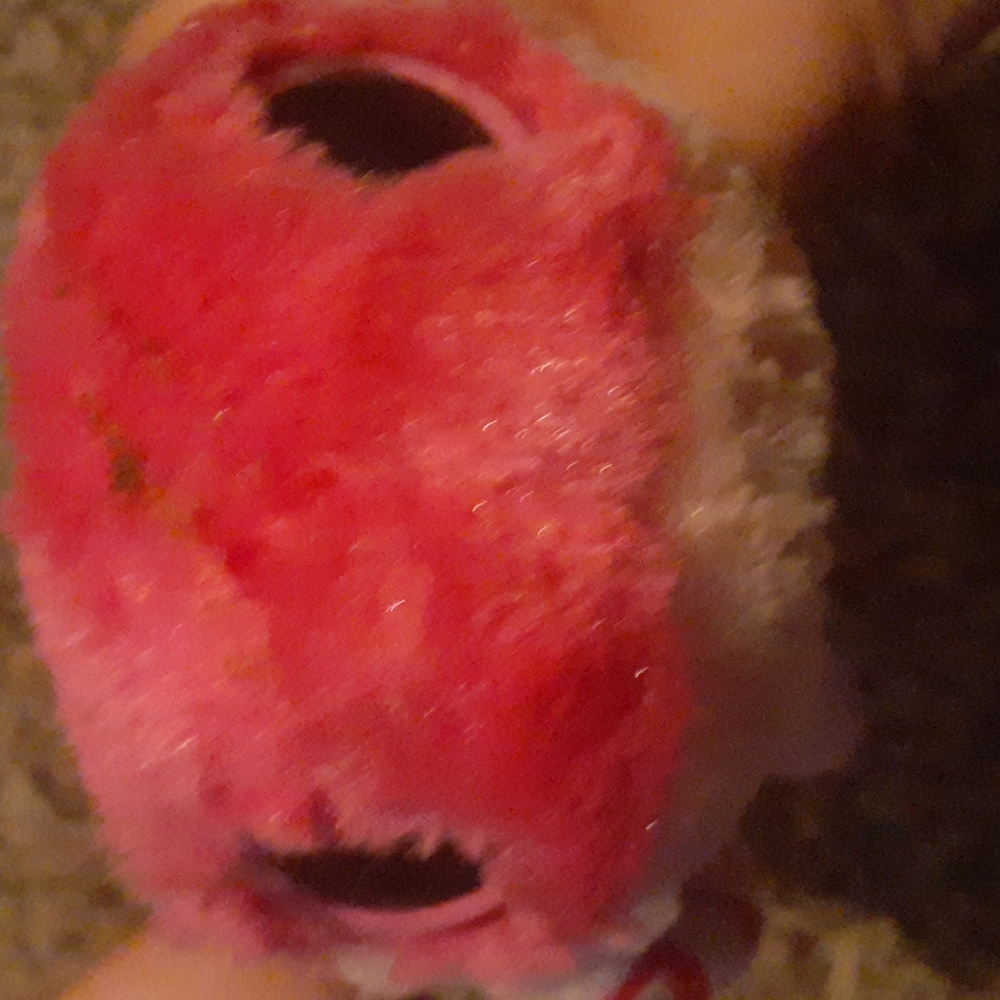 Turtle - Picture 3 of 3